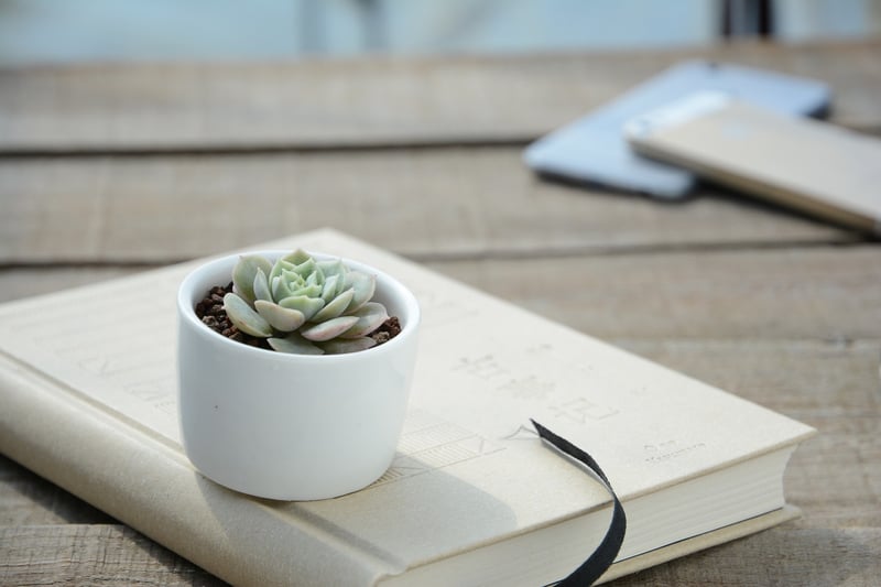Wooden Crate Planters